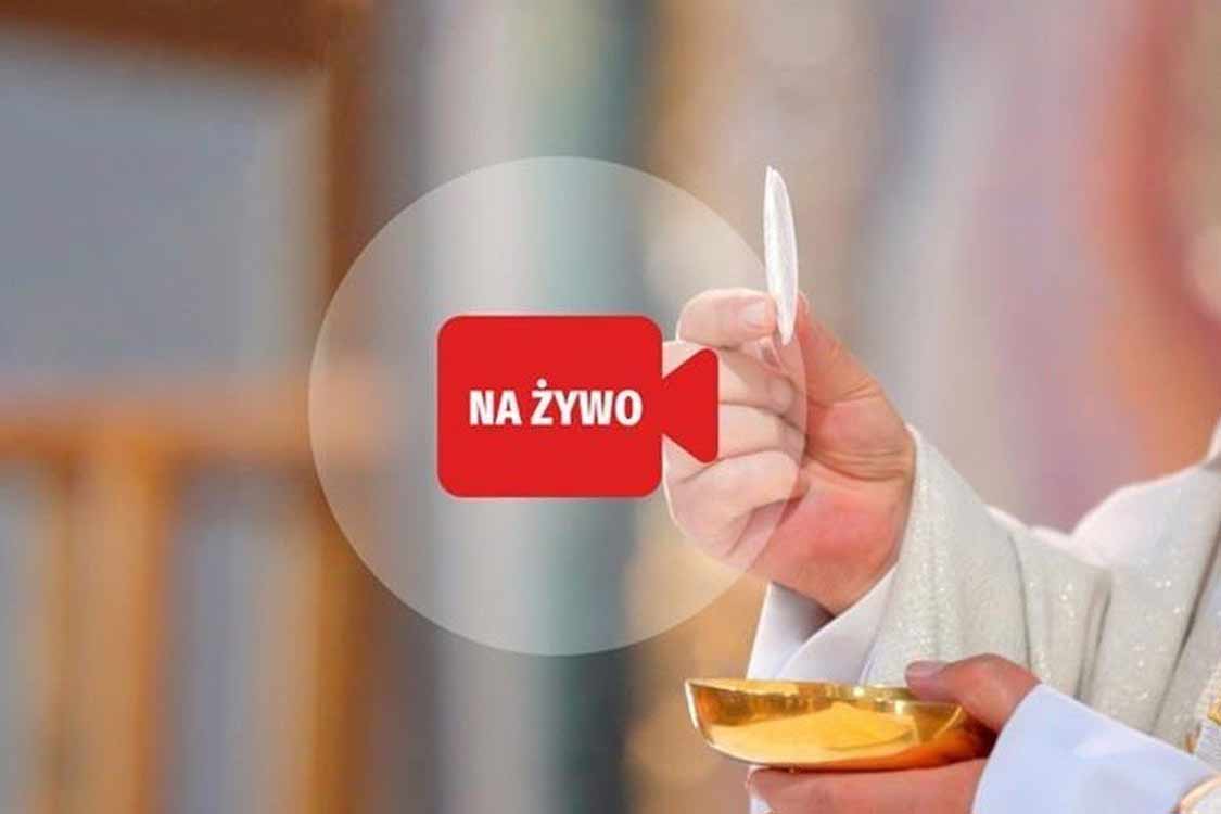 msza online